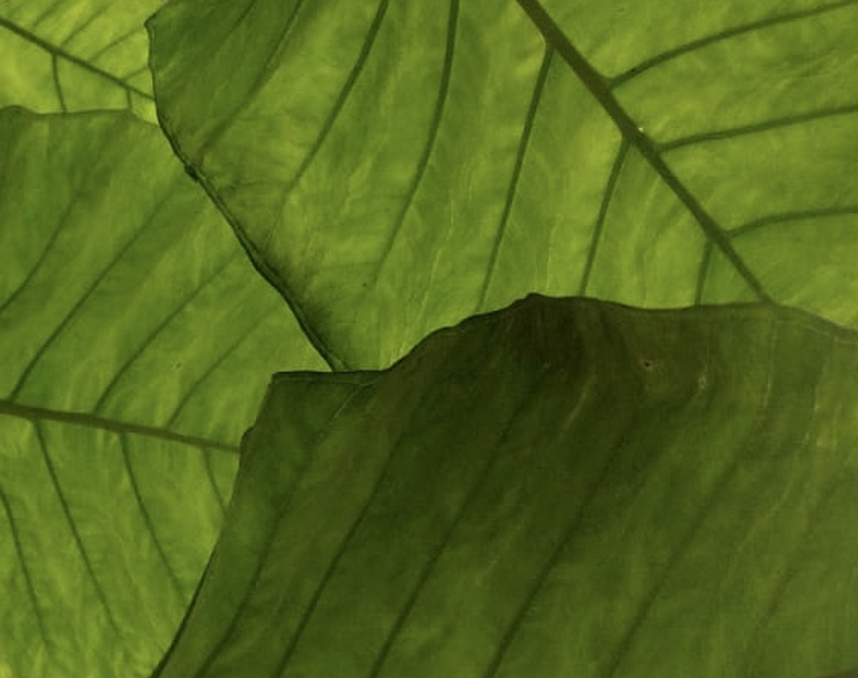 ed4f9620-4645-43a8-b480-27087c17d41d(1)