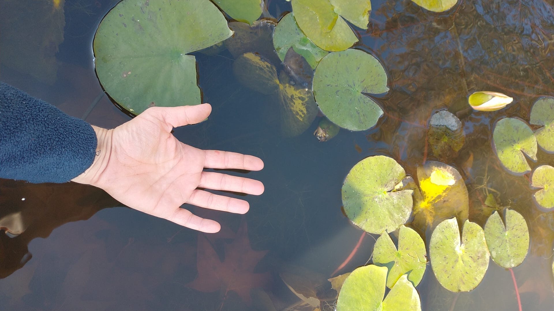 9d937e6d-ef36-4507-b846-53de97f74318