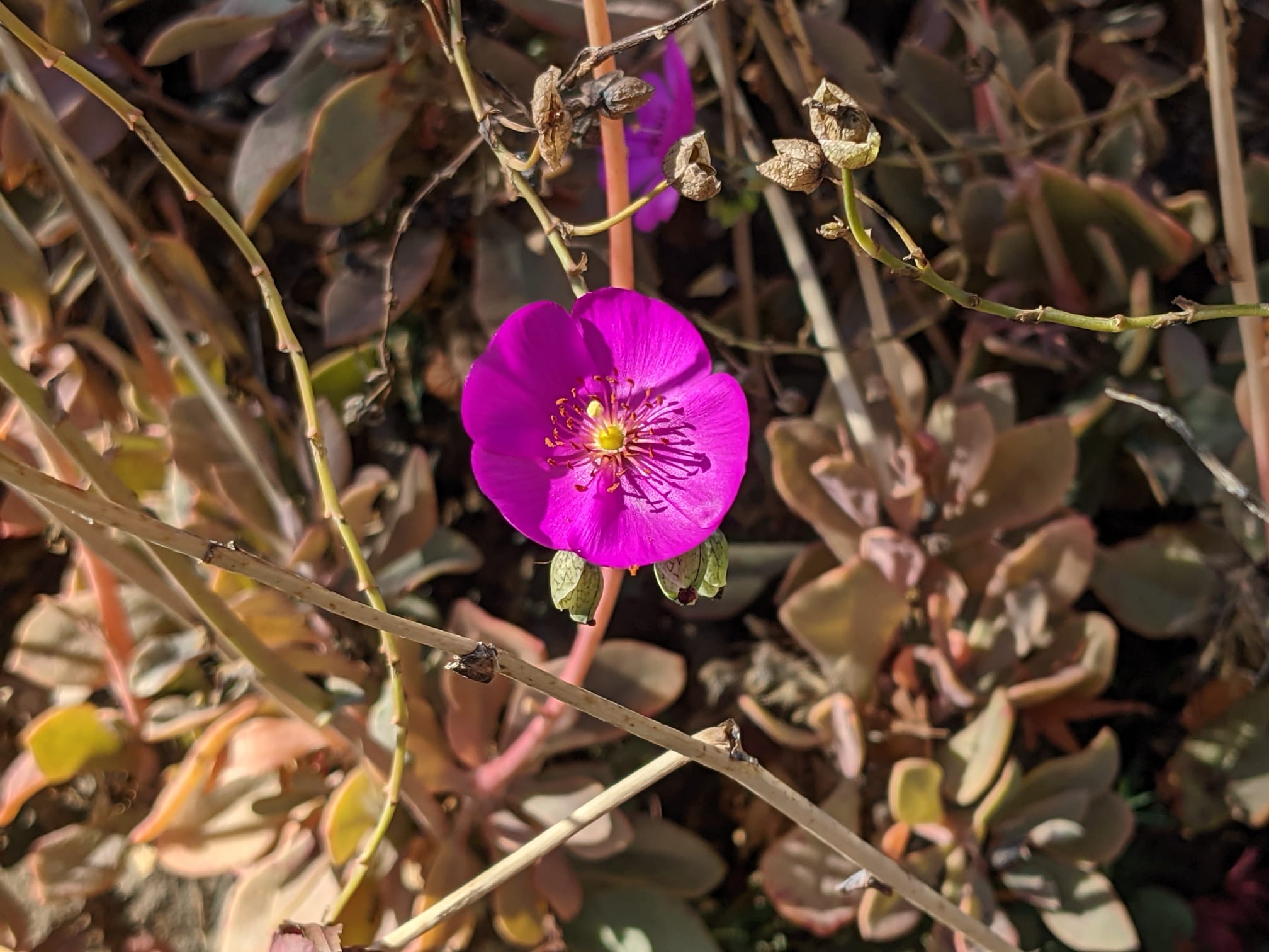 894f2399-79f4-4f81-a73a-d7920fccded7